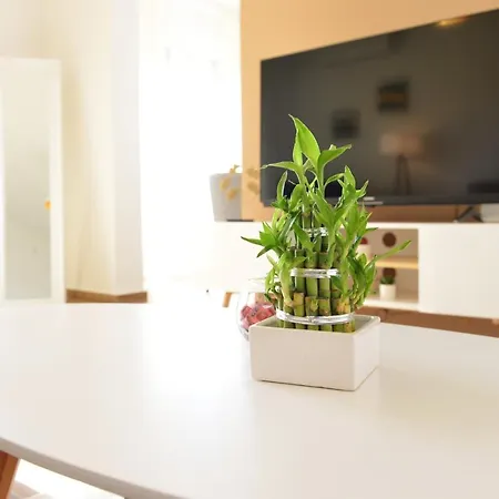 Lola Apartment
