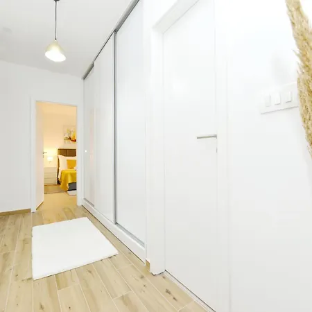 Lola * Zadar